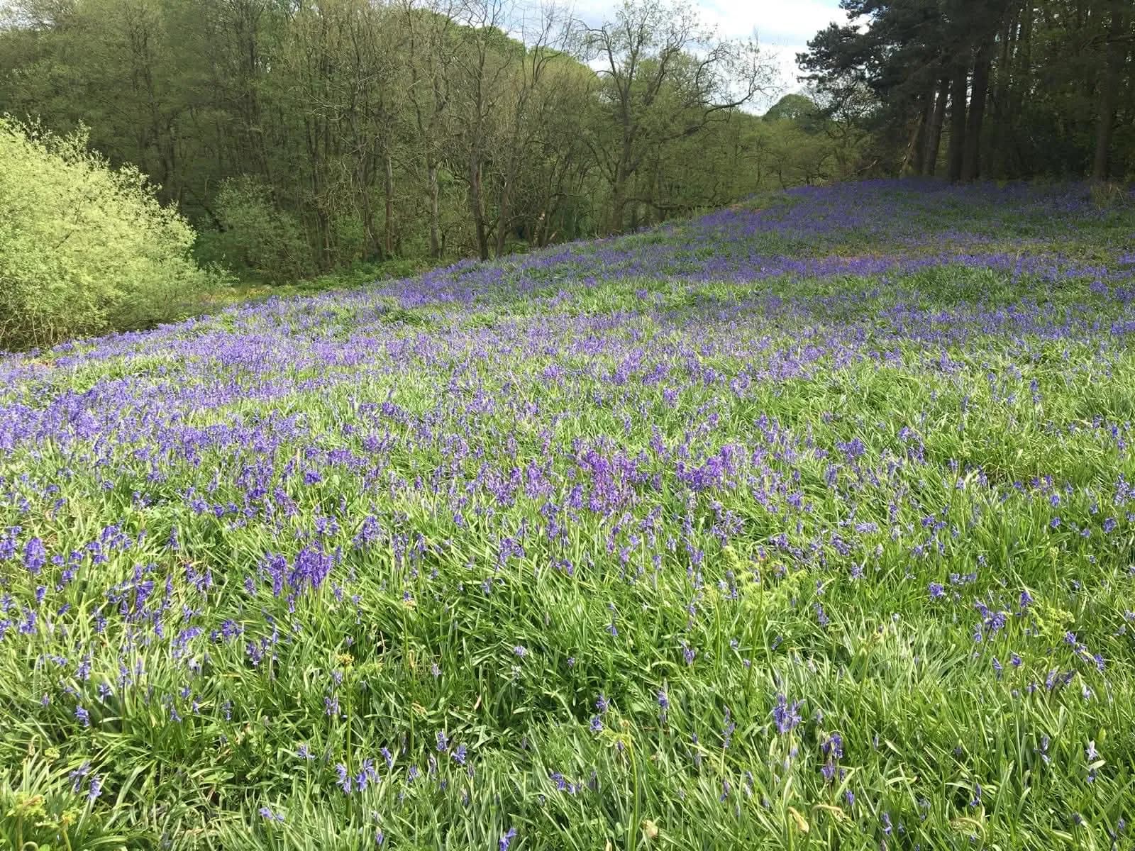 Lincolnshire Wolds scenery, photo 1 of 24